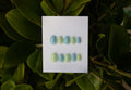 Mint Breeze
